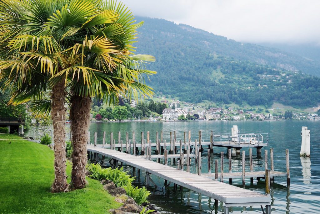 Hotel Park Weggis Vierwaldstättersee