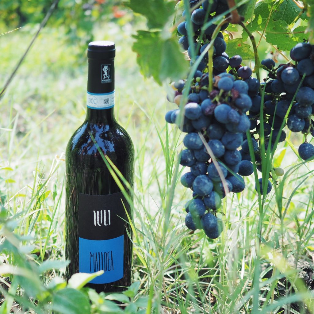Casa Iuli Wein Piemont